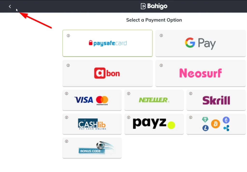 Bahigo Casino payment options page showing paysafecard, Google Pay, Skrill, Neteller, Visa, crypto, and other deposit methods.
